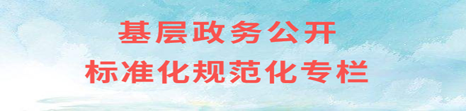 基层政务公开标准化规范化建设专栏